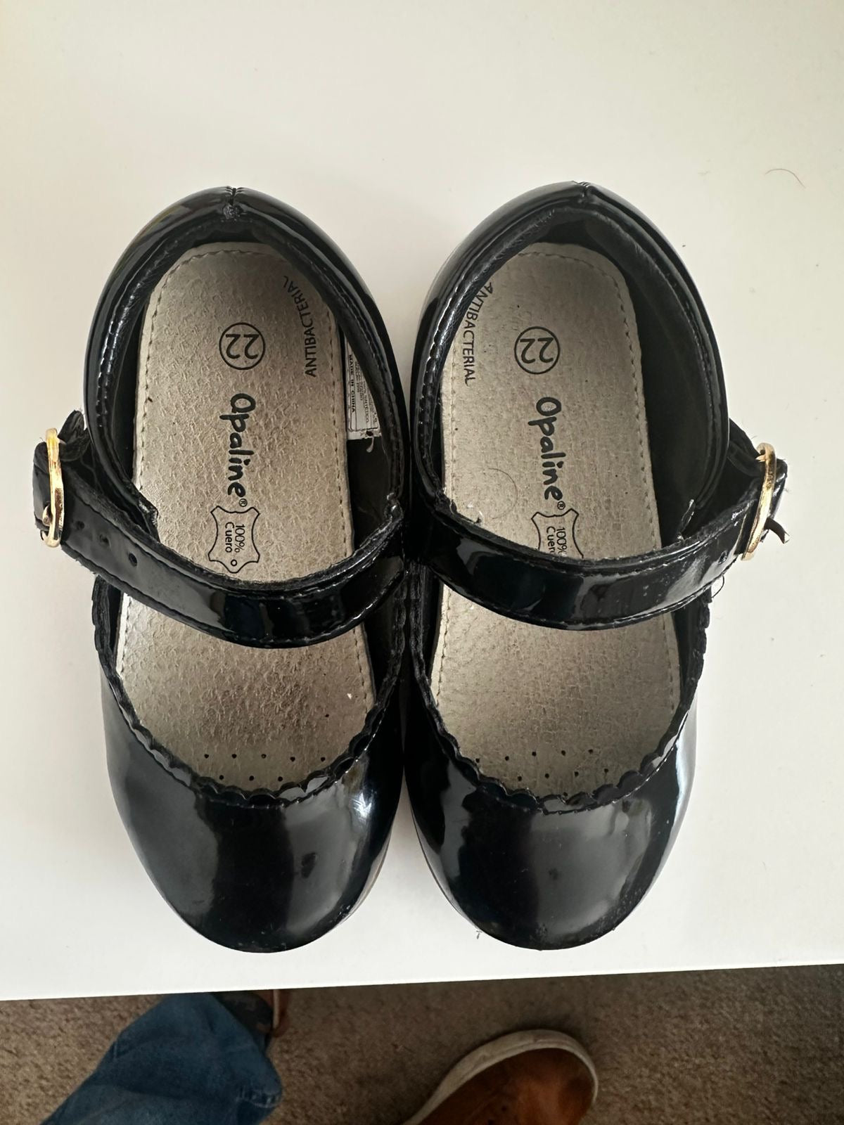 Zapato Reina Opaline no 22
